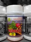 Herbakoles Herbafit ( Penurun Kolesterol )