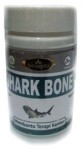Shark Bone
